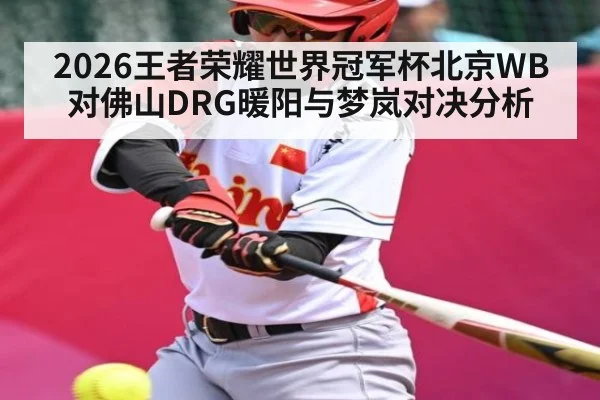 2026王者荣耀世界冠军杯北京WB对佛山DRG暖阳与梦岚对决分析